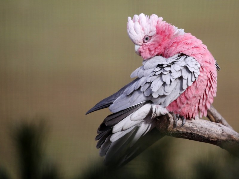 zoo erfurt