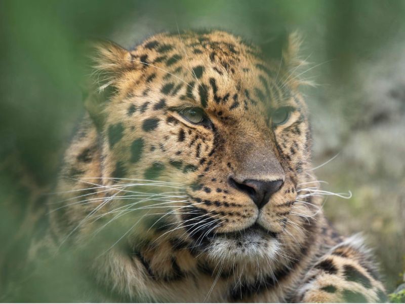 zoo-leipzig