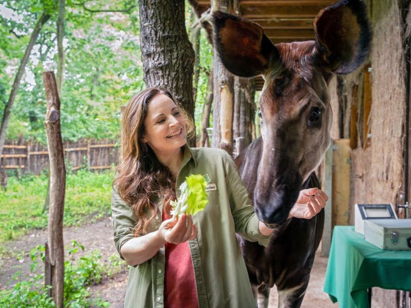 zoo-leipzig