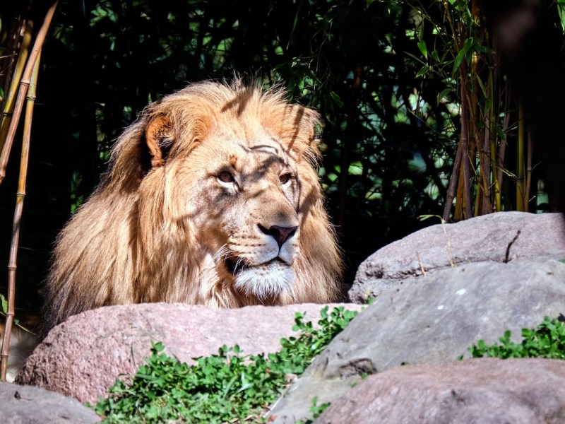 zoo leipzig