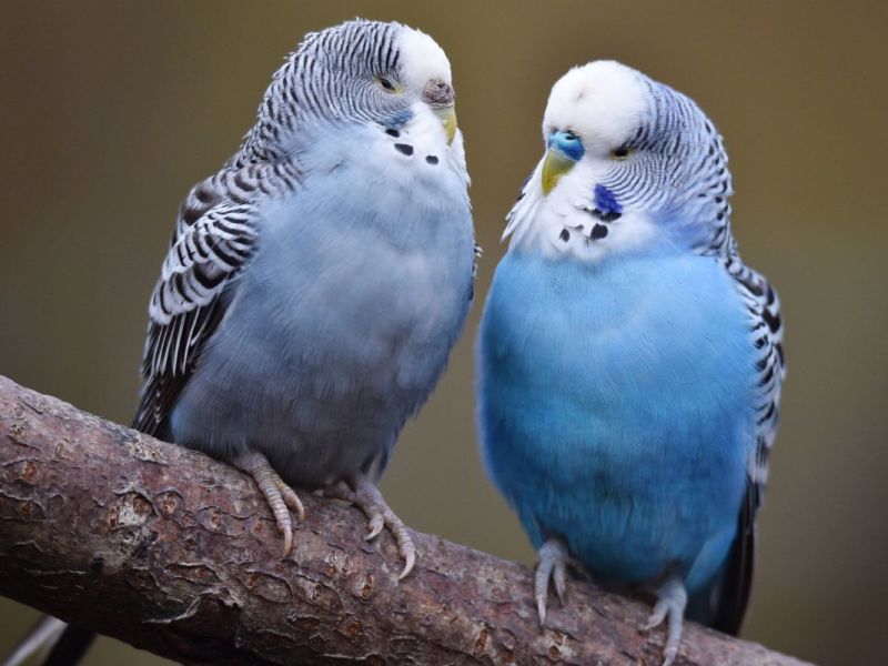 zoo-leipzig
