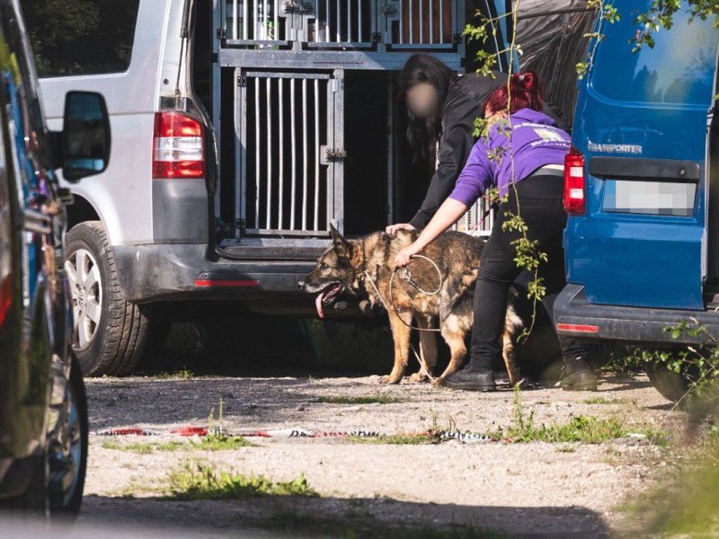 Konsequenzen nach Horror-Fund in Thüringen! Acht Hunde gerettet