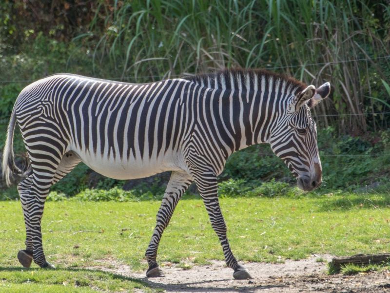 zoo leipzig
