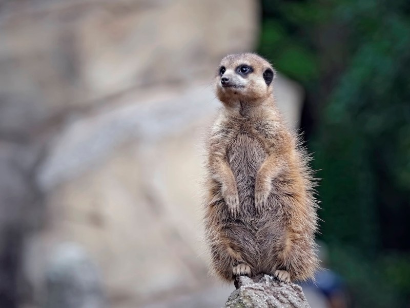 Zoo Leipzig