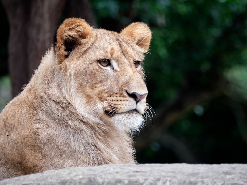 Zoo Leipzig